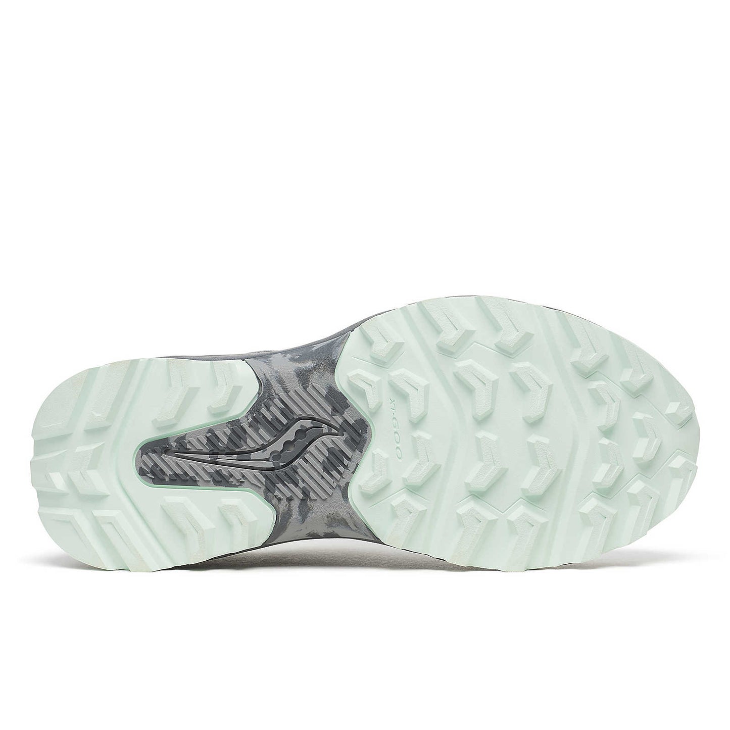 EXCURSION TR17 - FOSSIL/AQUA