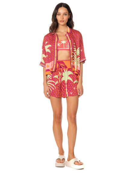 Set - Funky Palms Solene Rhino