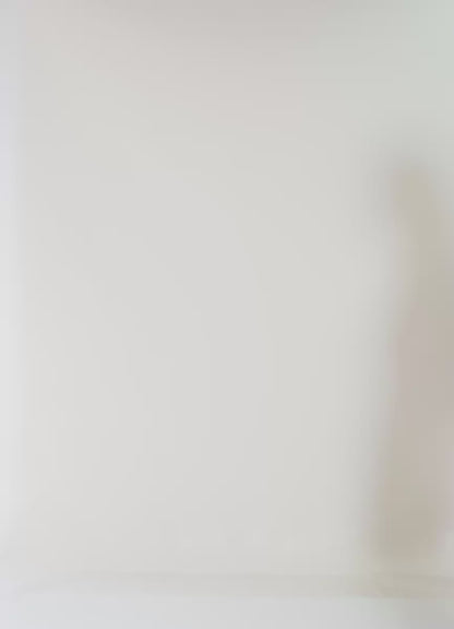 Bikini - Midnigh Palm Bryn Sully