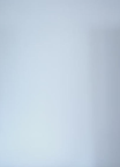 Blusa - Engraved Leaves Sol