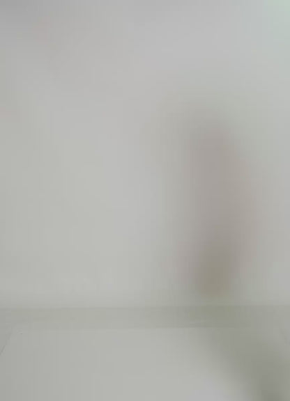 Camiseta - Lobster Azalea