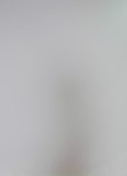 Camiseta - Aloha Dream Azalea