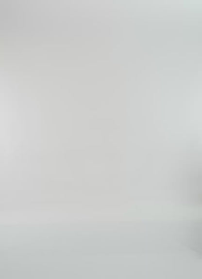 Bikini - Retro Bloom Dazzle Sublimity