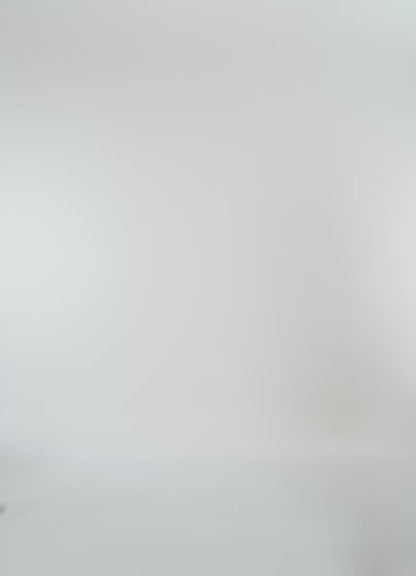 Set - Funky Palms Solene Rhino