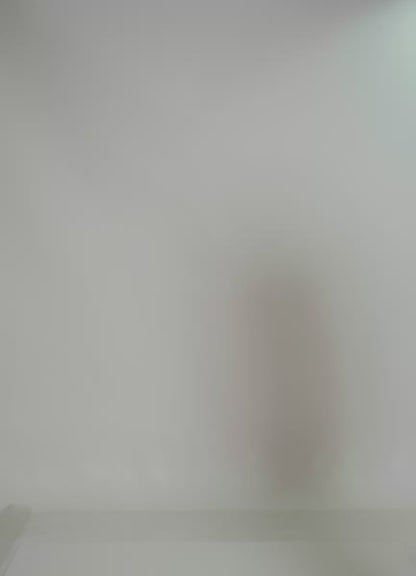 Bikini - Mocha Pearl Acanthus Dreamscape