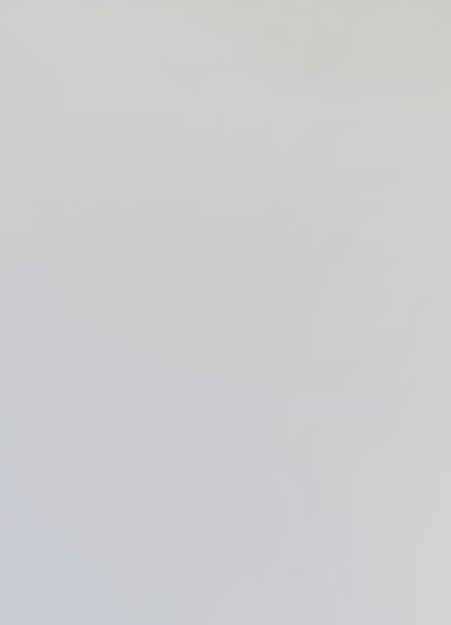 Camisa - Midnight Shadow Juicy